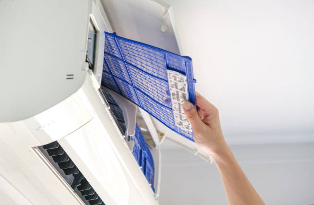 Best Professional Duct Cleaning Services  in Cypress Quarters, FL