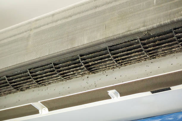 Best Home Air Vent Cleaning  in Cypress Quarters, FL